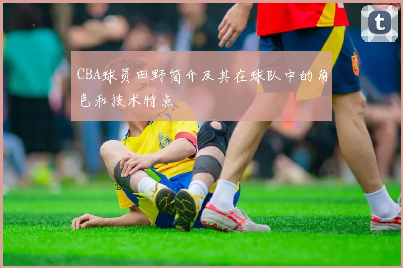 CBA球员田野简介及其在球队中的角色和技术特点